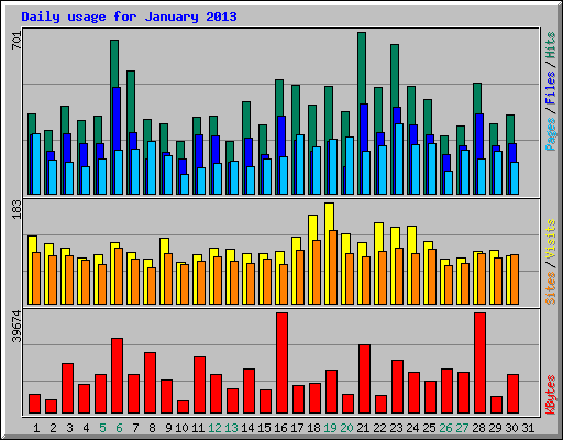 Daily usage for January 2013