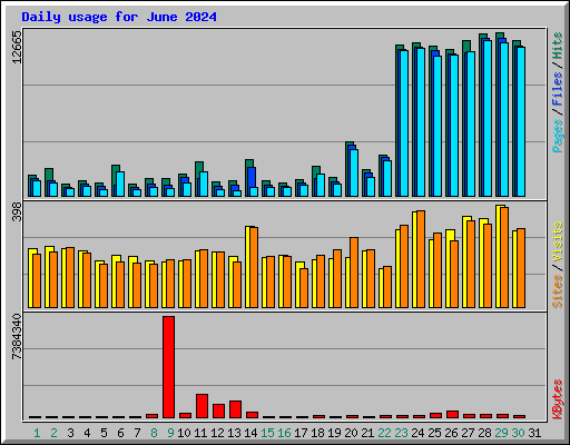 Daily usage for June 2024