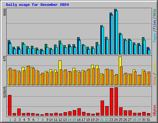 Daily usage for December 2024