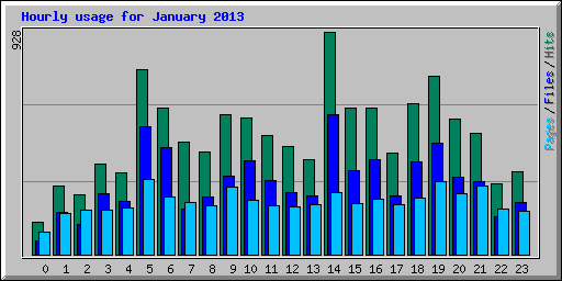 Hourly usage for January 2013