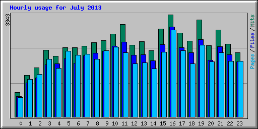 Hourly usage for July 2013