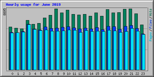 Hourly usage for June 2019