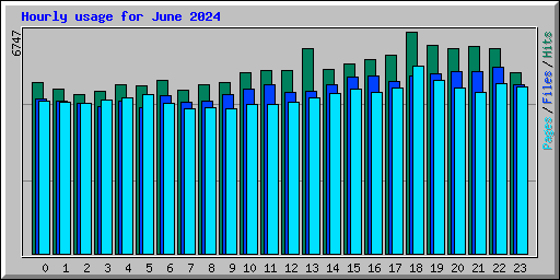 Hourly usage for June 2024