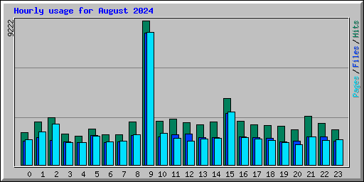 Hourly usage for August 2024