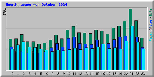 Hourly usage for October 2024