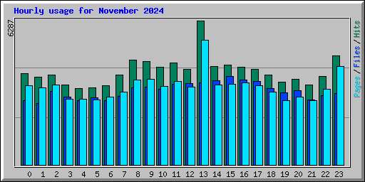 Hourly usage for November 2024