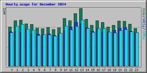 Hourly usage for December 2024