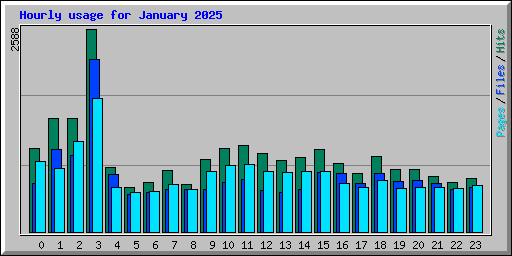 Hourly usage for January 2025